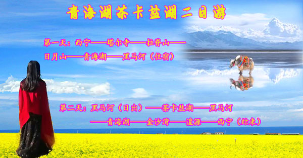 青海二日游路線(xiàn)_跟團游報價(jià)_ 包車(chē)價(jià)格一覽